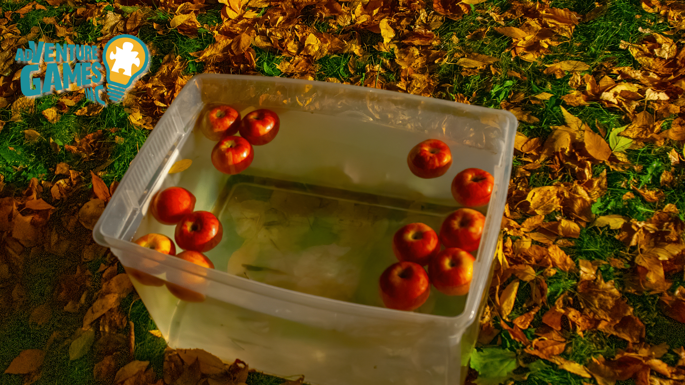 Plastic tub filled with floating red apples set on grass covered in autumn leaves, ready for a Halloween office bobbing-for-apples game, with the Adventure Games Inc. logo.