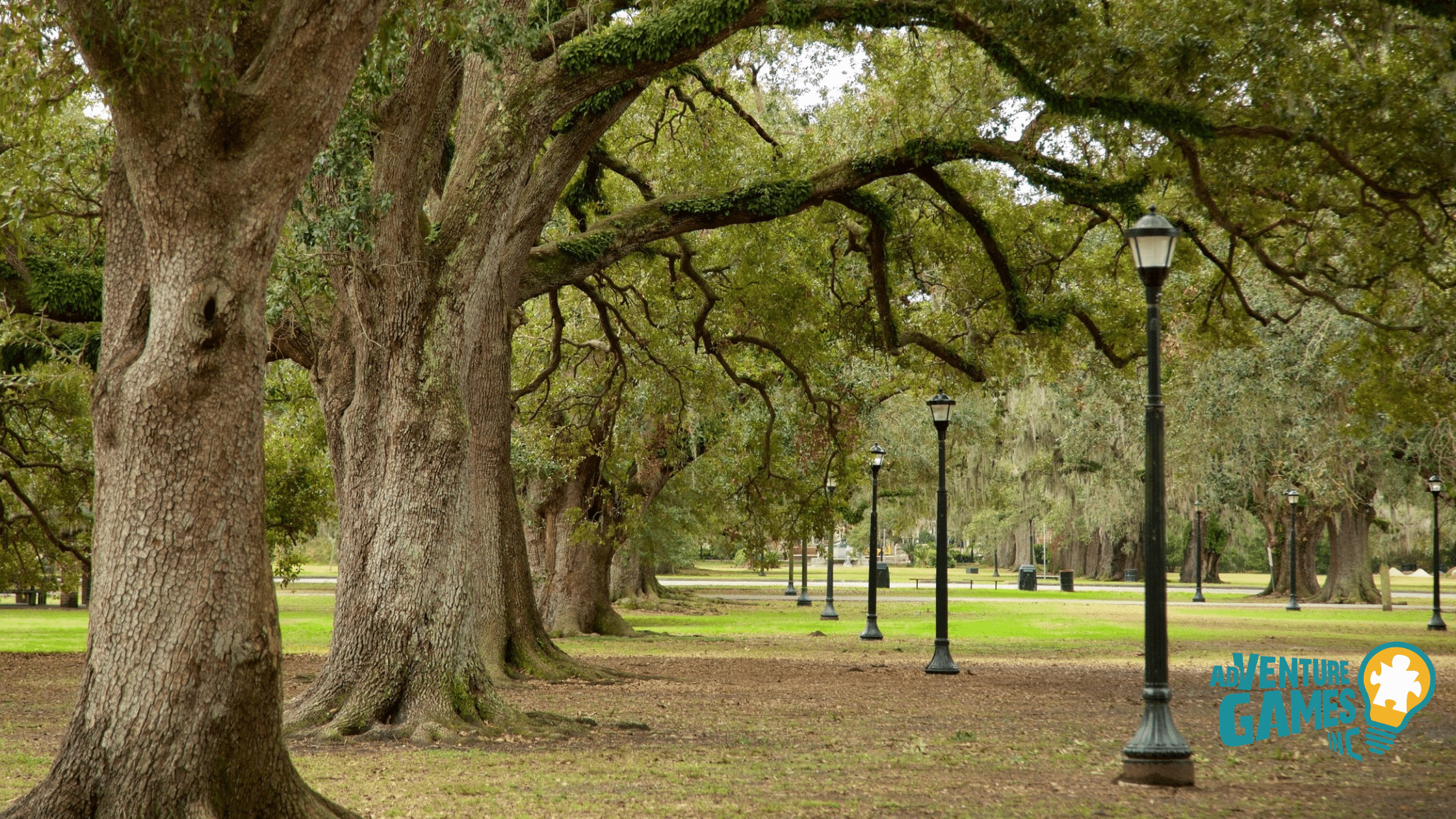 Live oak allée and lampposts in Audubon Park, New Orleans, with shaded lawns and wide paths ideal for outdoor team building and walking meetings.