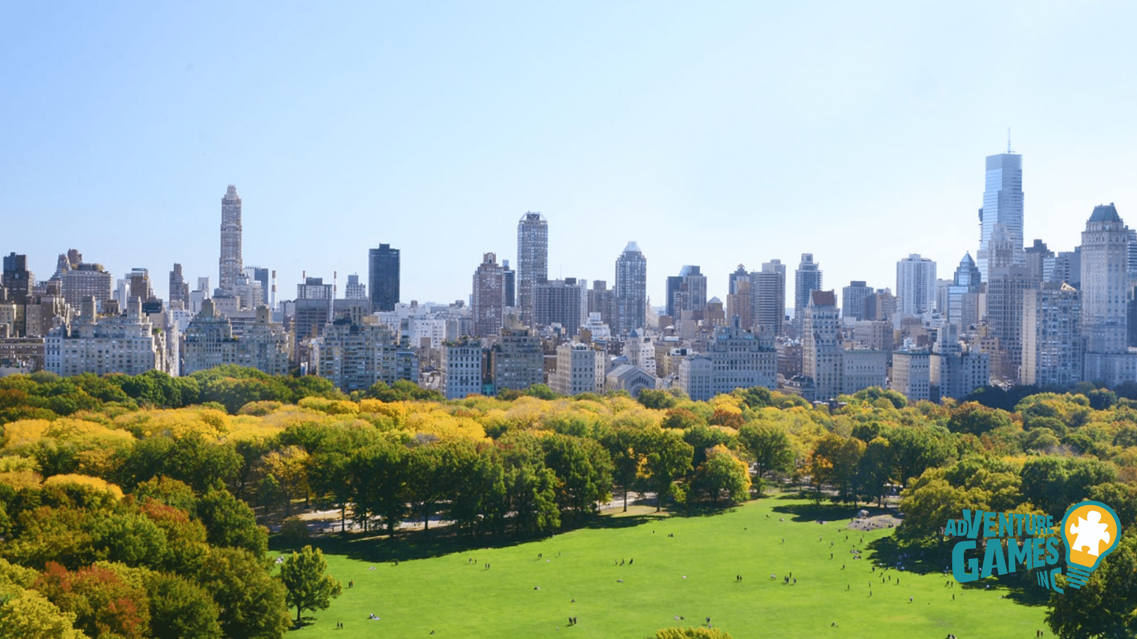 Wide view of Central Park’s open meadow with the Manhattan skyline rising beyond on a clear day.