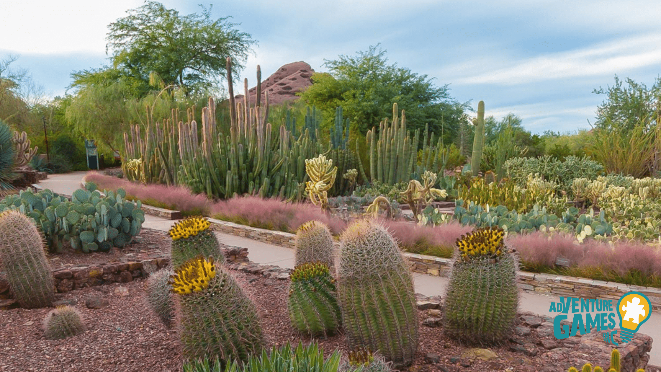 Desert Botanical Garden in Phoenix with towering cacti, desert blooms, and Papago Buttes in the background.