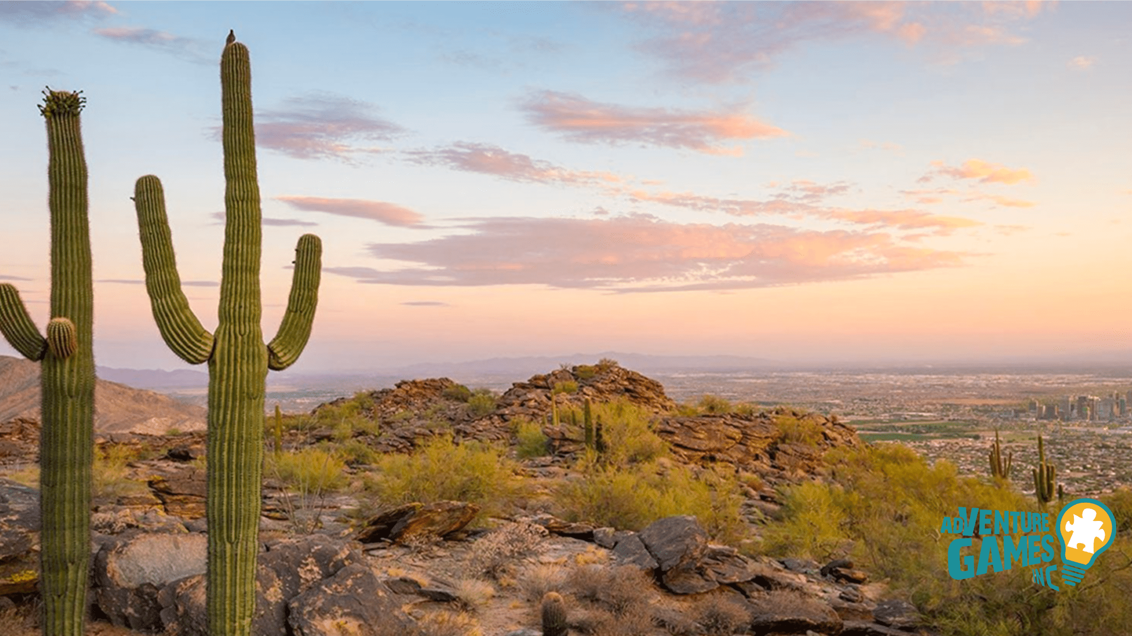South Mountain Park & Preserve overlook with tall saguaro cacti and panoramic view of Phoenix.